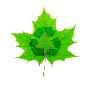 recycling over leaf